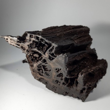Morceau de Séquoia, Bois silicifié