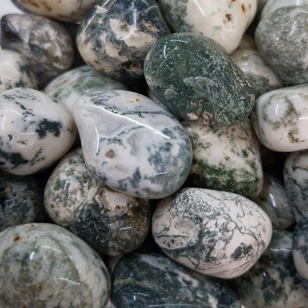 Agate arbre, pierre roulée.