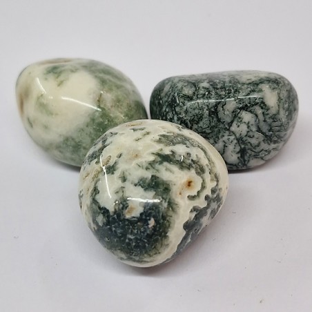 Agate arbre, pierre roulée.