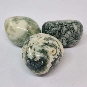 Agate arbre, pierre roulée.