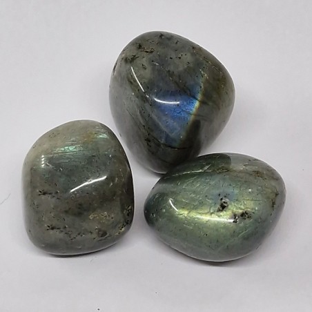 Labradorite verte, pierre roulée.