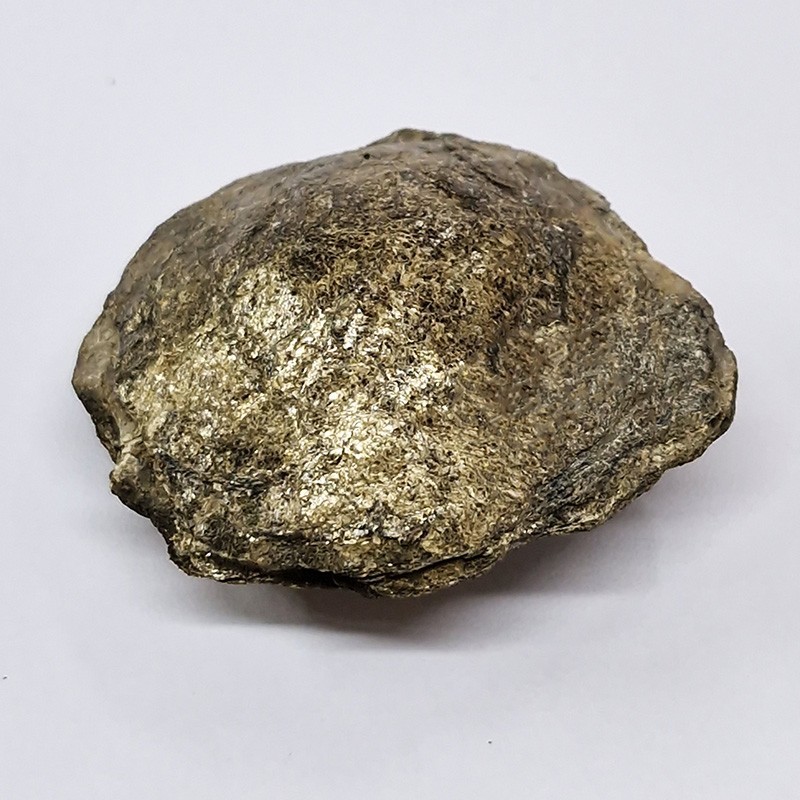 Biotite