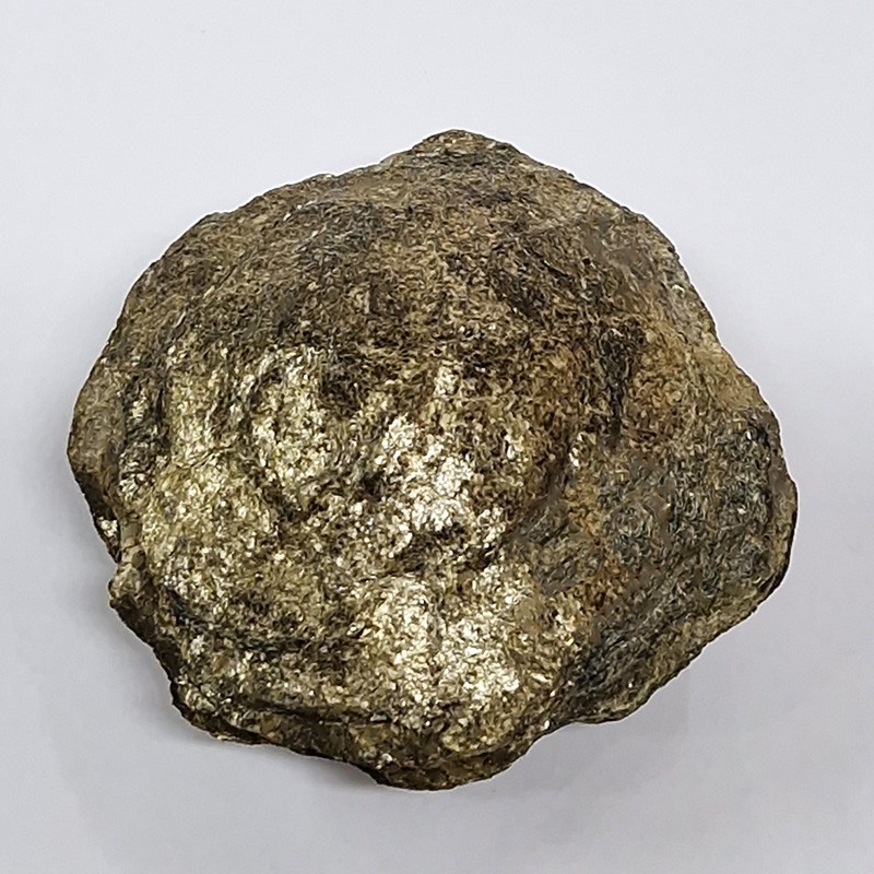 Biotite