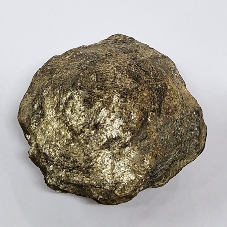 Biotite