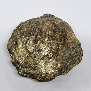 Biotite