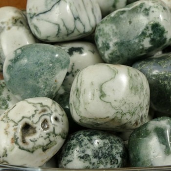Pierre naturelle polie, Agate arbre.